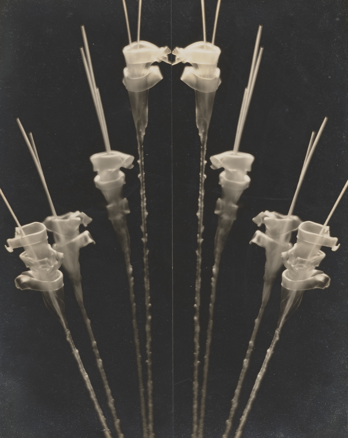     André Kertész(?): Éva Révai’s Artificial Flowers, c. 1927 (Csaba Kajdi Collection)  