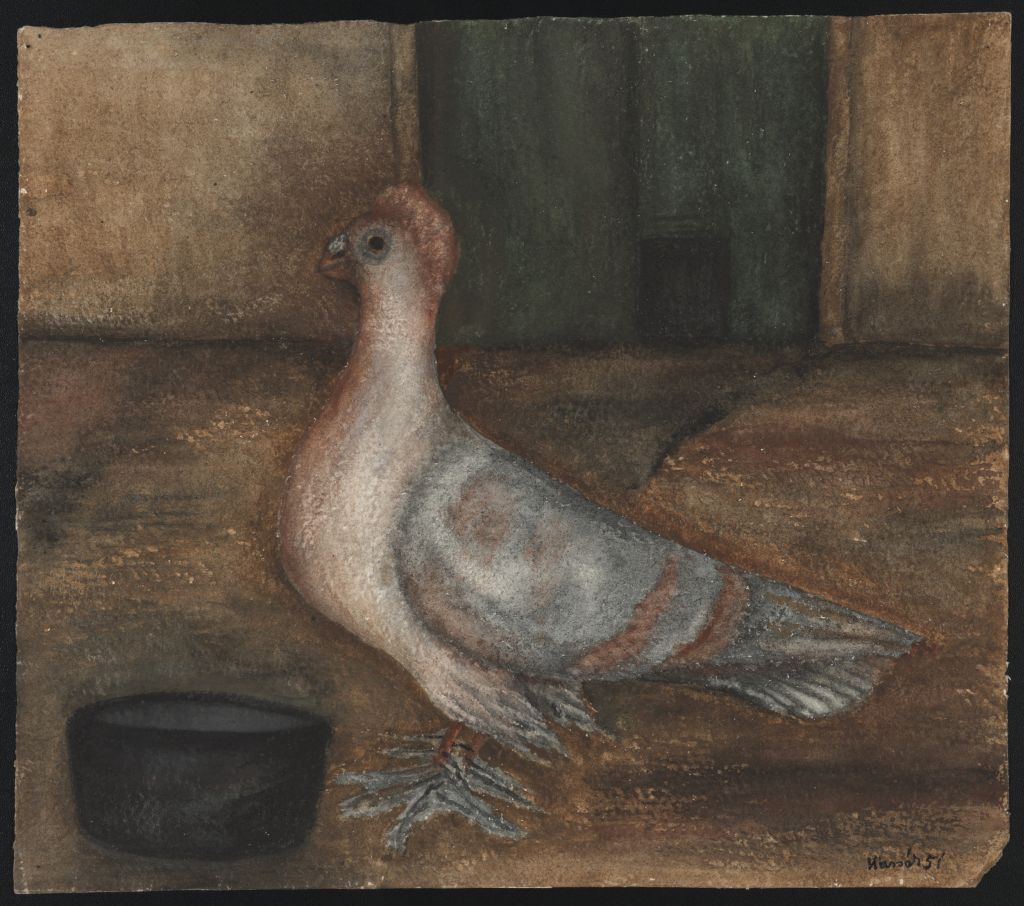 Kassák Lajos: Galamb, 1951, papír, akvarell