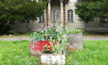 gerillavetemény a kastély előtt