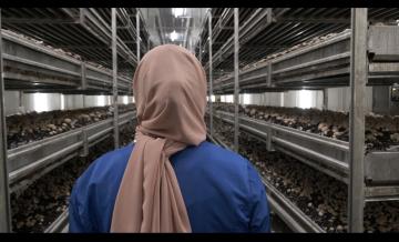Fabricius Anna: Itt a munka hol az otthon?, 2023-2024, videostill
