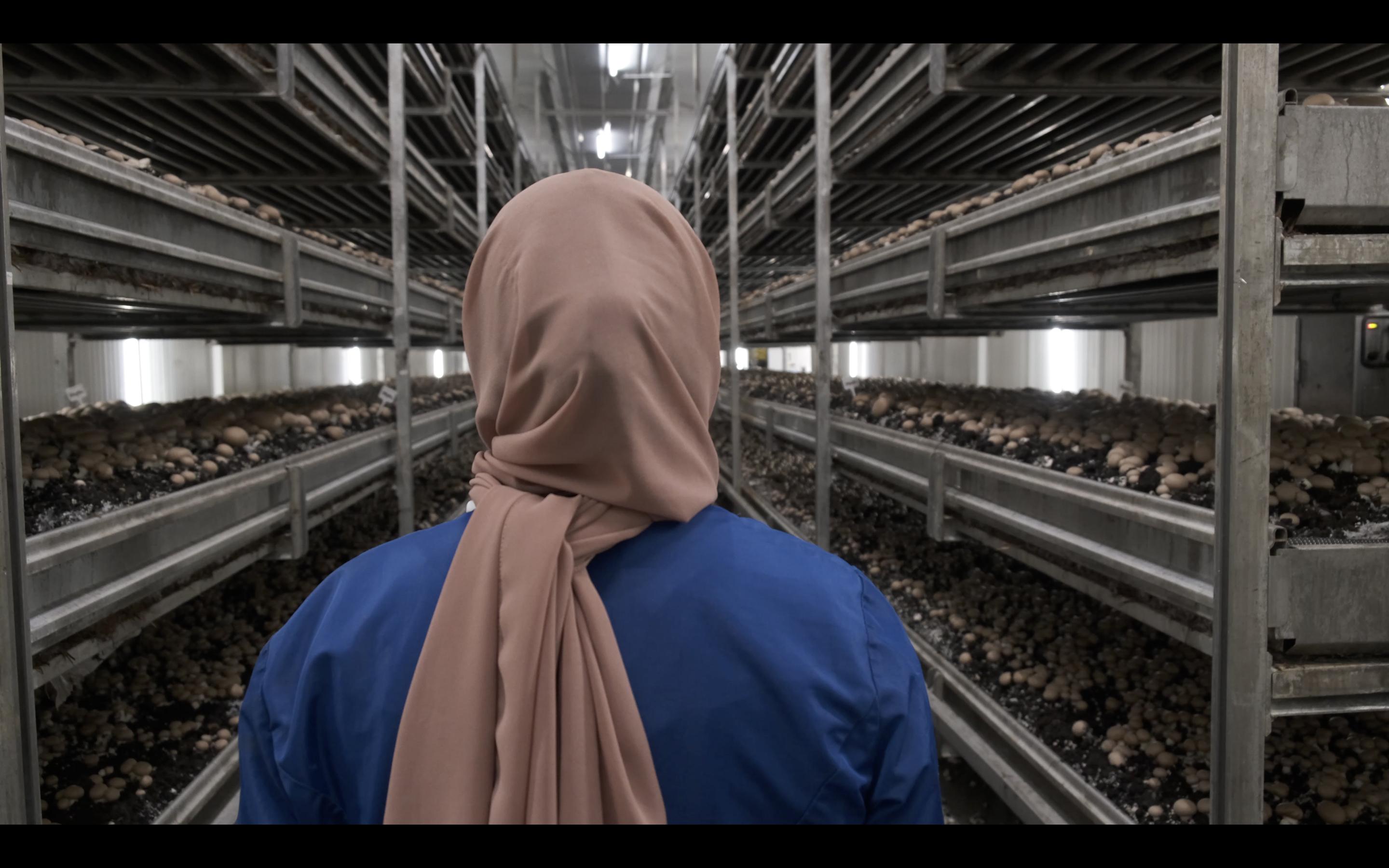 Anna Fabricius: Home Is Where Work Is, 2023-2024, videostill