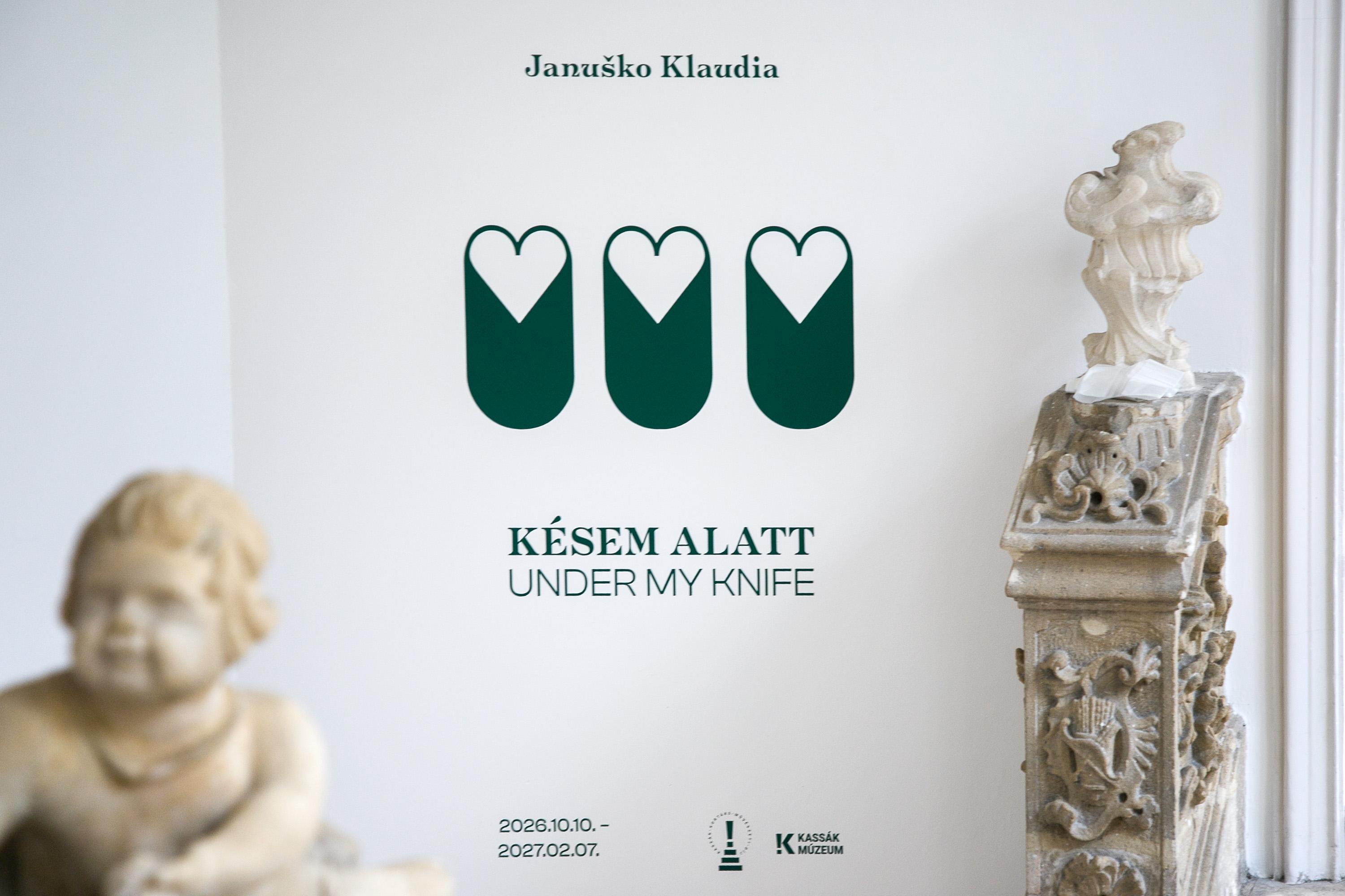Kiállítás enteriőr, Januško Klaudia "Késem alatt", Kassák Múzeum Fotó Birtalan Zsolt/PIM
