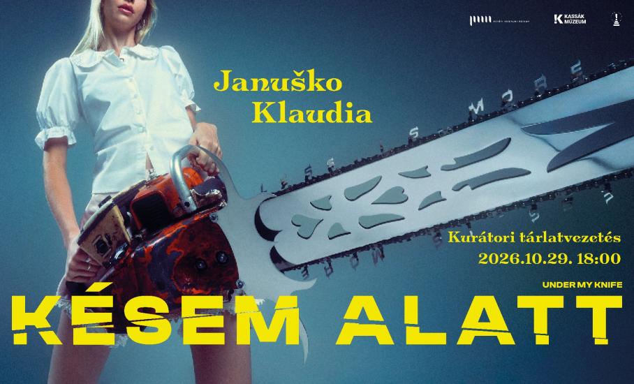 Török Krisztián kurátori tárlatvezetése cover